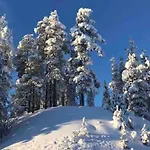 Tievaharju *