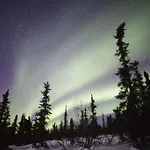 Tievaharju