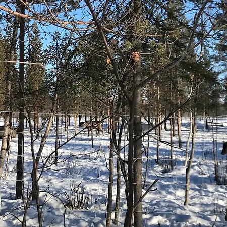 Tievaharju * Киттиля